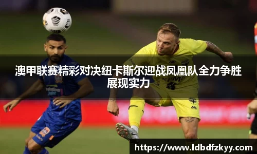 PA视讯平台