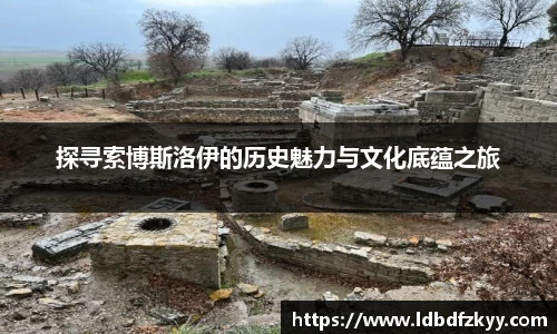 探寻索博斯洛伊的历史魅力与文化底蕴之旅