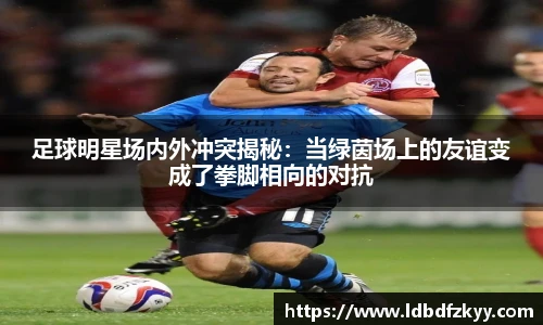 足球明星场内外冲突揭秘：当绿茵场上的友谊变成了拳脚相向的对抗